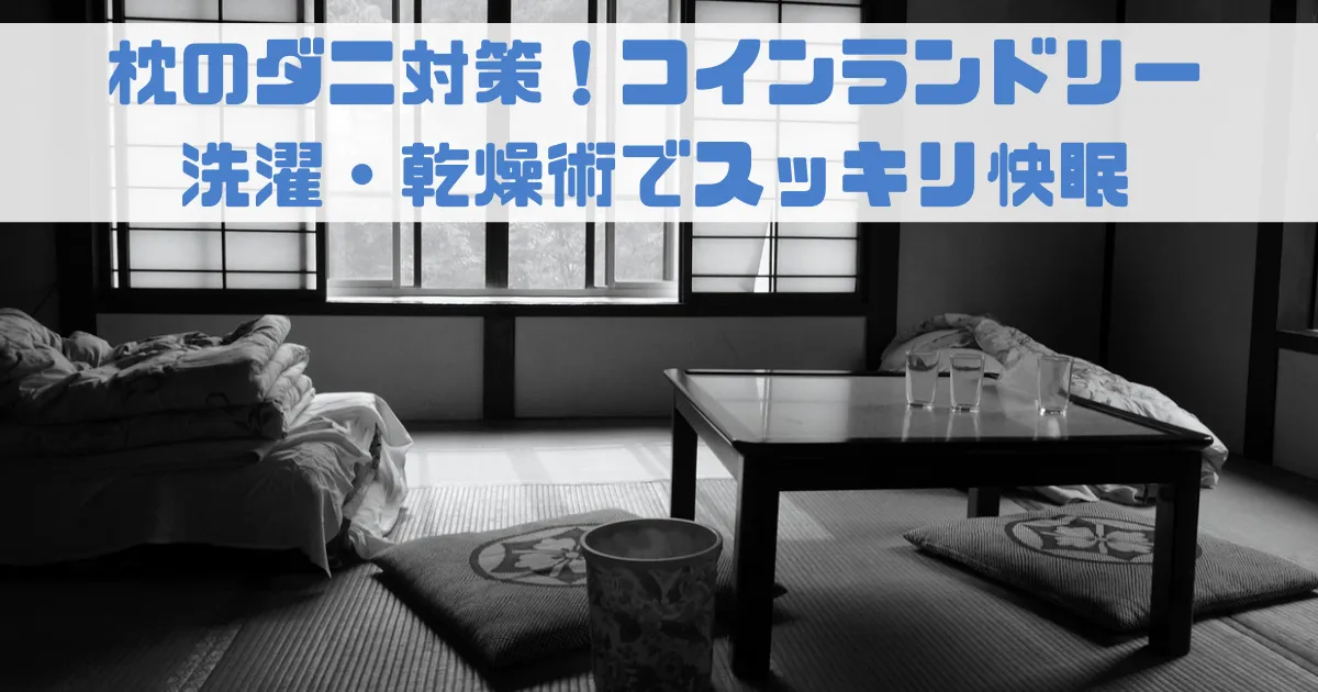 枕のダニ対策！コインランドリー洗濯・乾燥術でスッキリ快眠